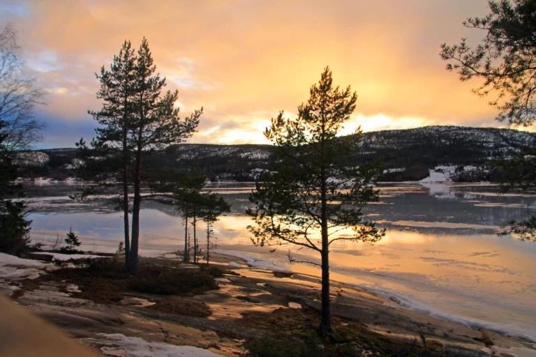 Peaceful And Scandinavian-Style Guesthouse With Scenic Nature And Seaview In High Coast Domsjo Eksteriør billede